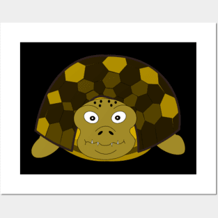 Mr Slow Turtle Posters and Art